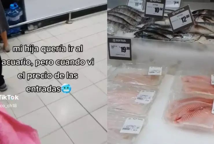 Pidió ir al acuario y su papá la llevó a los pescados del supermercado