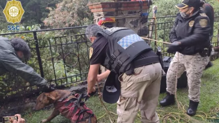 Personal de la BVA de la SSC recataron a un perrito que quedó atrapado dentro de una barranca en la alcaldía Álvaro Obregón.