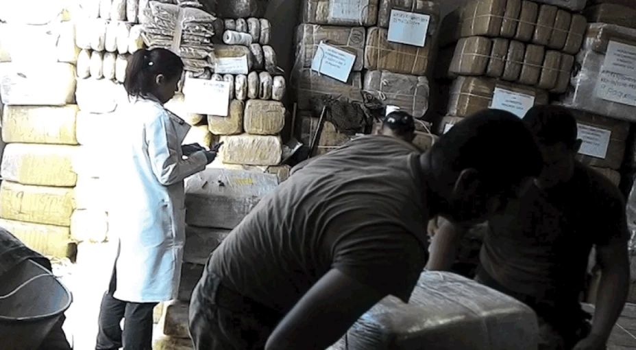 Marina aseguramiento