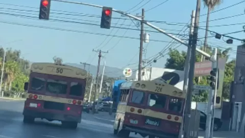 Calafias de Tijuana jugando carreritas