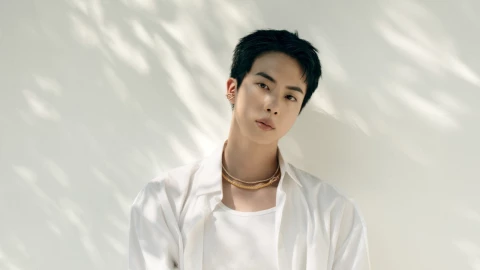 Jin de BTS