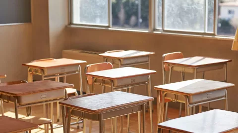 ¿Cuáles serán las nuevas materias que tendrá el ciclo escolar 2025-2026 Esto dice la SEP