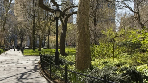Impactante tormenta en Nueva York: un rayo hirió a un adolescente en Central Park. El joven fue trasladado al hospital en estado grave pero estable.