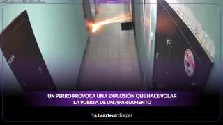 RUSIA: Perro provoca una fuerte explosión en un apartamento