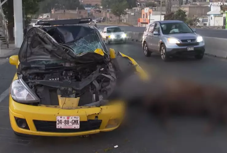 Taxi embiste a caballo