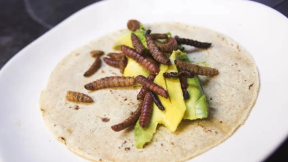 Cómo preparar escamoles y gusanos de maguey