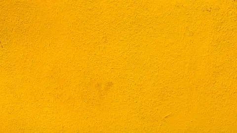 El amarillo mostaza ilumina las pieles apiñonadas