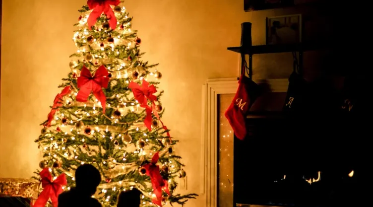 Tomas precauciones para evitar accidentes con las luces del árbol de navidad / Foto: Chris Benson