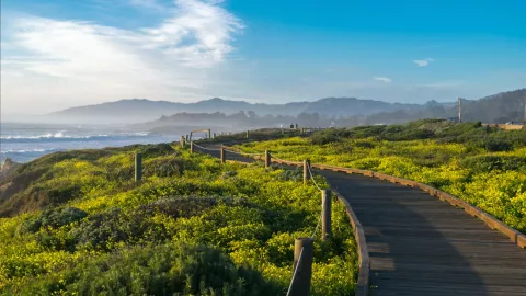 Atardecer en la playa de Cambria, California