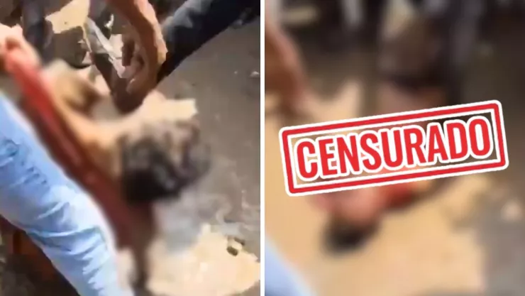 Testigos presenciaron los hechos que luego se viralizaron en redes