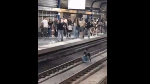 pelea metro nuevo león.jpg