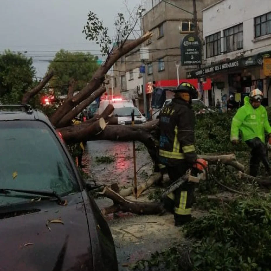lluvia.jpeg