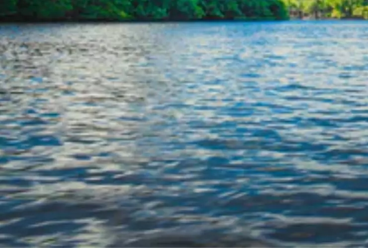 Menores de edad mueren ahogadas en Querétaro