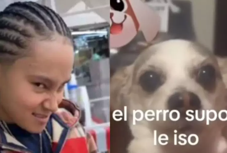 Video perrito imita a Yahritza cuando le dieron su refresco en bolsa y se vuelve viral en TikTok