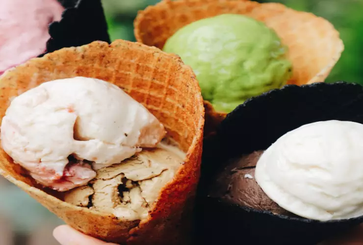 feria nieve xochimilco