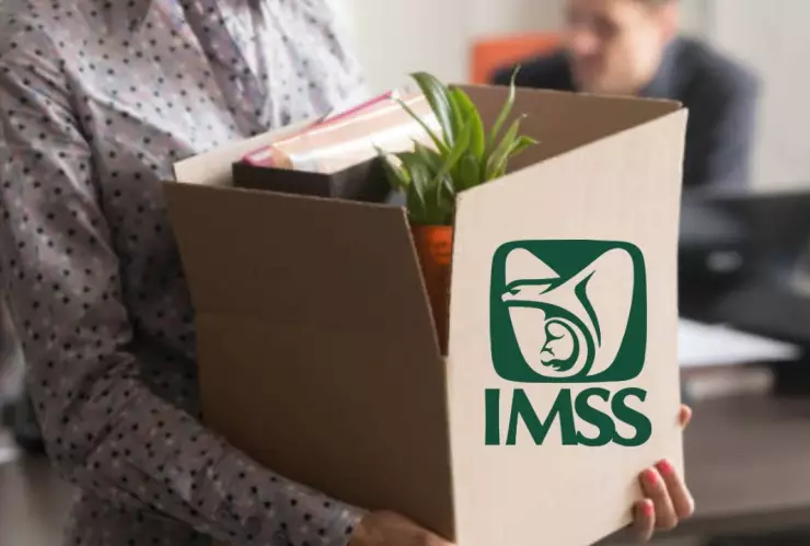 Este es el ‘tiempo de gracia’ que otorga el IMSS ante un despido o renuncia