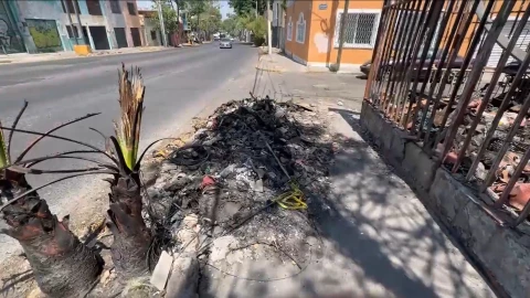 Vecinos exigen atención a finca abandonada en Oblatos