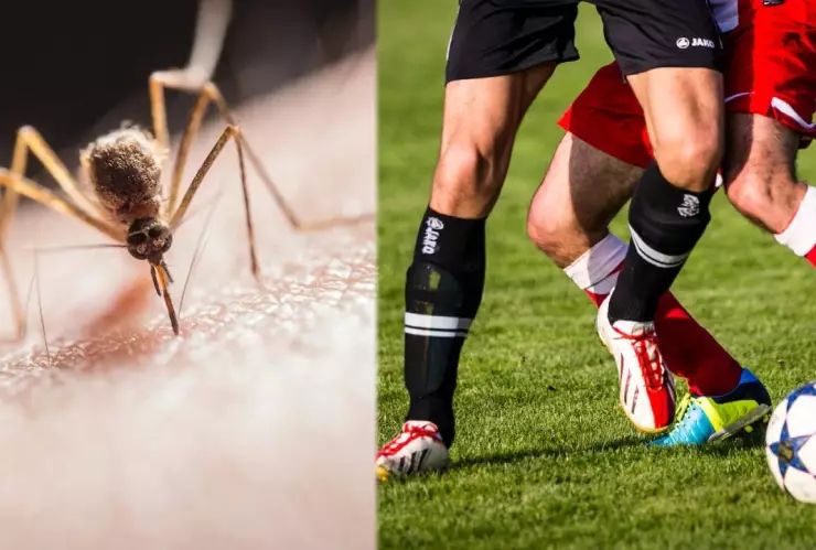 Reportan futbolistas con dengue en Argentina; hay varios enfermos