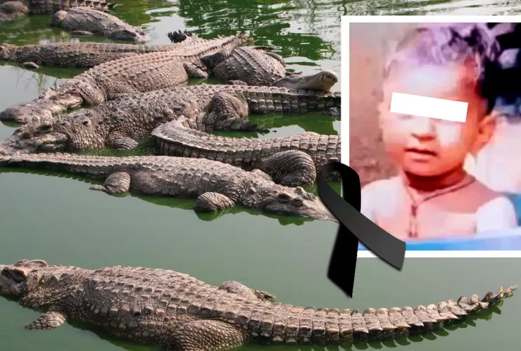 Madre lanza a su hijo a río con cocodrilos