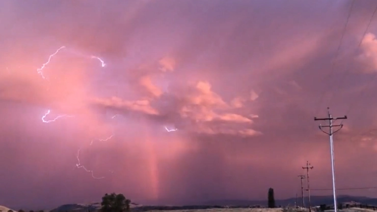 rayos california