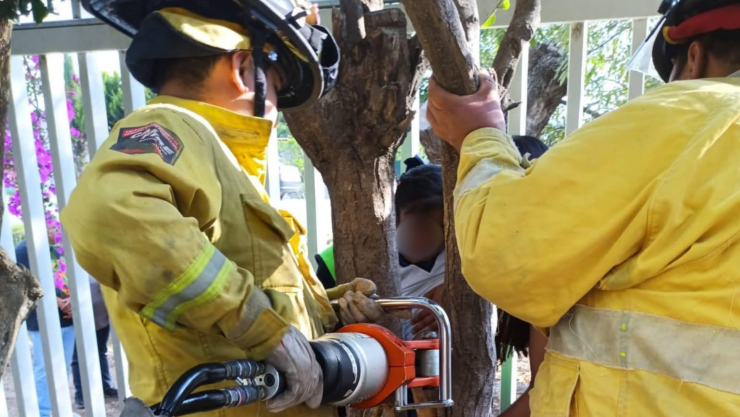 Liberan a menor atorada en un árbol