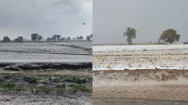 Nieve San Nicolás de los Ranchos