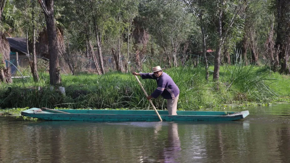 Sistema chinampero como Patrimonio Agrícola Mundial_SEDEMA.jpg