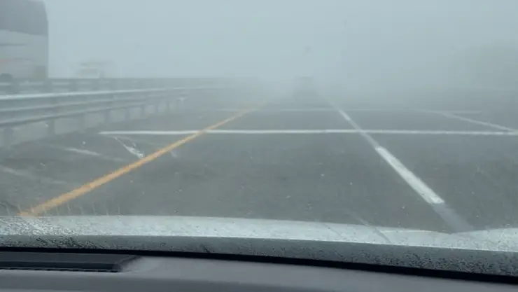 Neblina