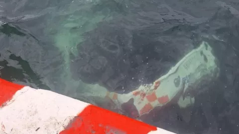 Camioneta cae al mar en Veracruz