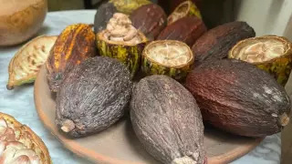 chocolate-en-México-como-ha-crecido-la-industria