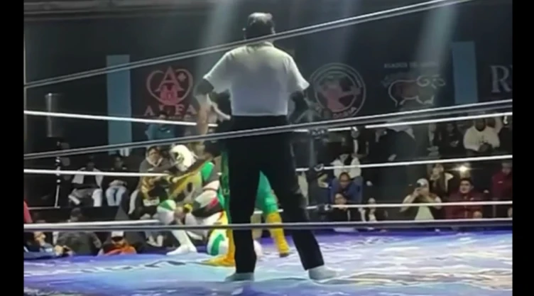 Lucha libre