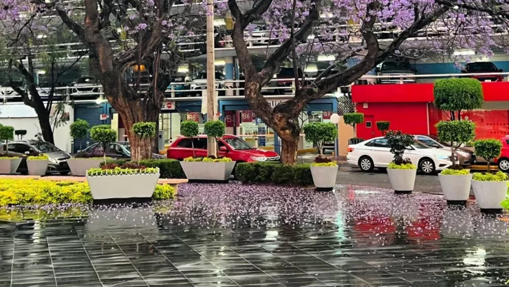 ¡Se cae el cielo! Activan alerta amarilla por lluvias fuertes en CDMX