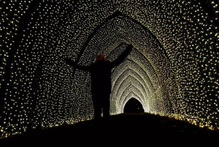 Jardines navideños iluminados morelos