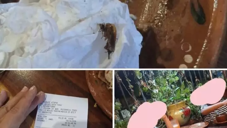 PORTADA cucaracha Mérida.jpg