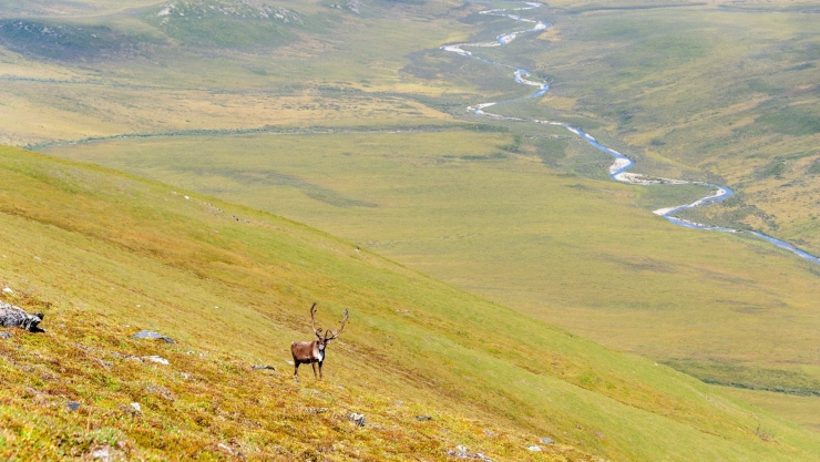 Parque nacional Puertas del Ártico en Alaska.