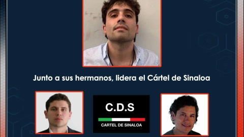 Ovidio Guzmán quién es