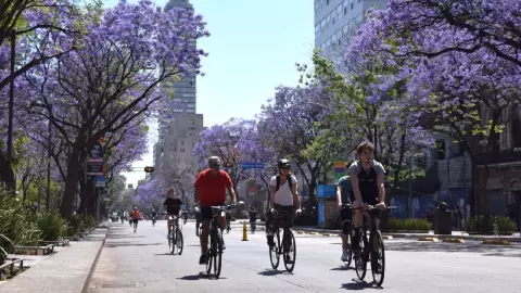 Gobierno anuncia placas para bicicletas eléctricas