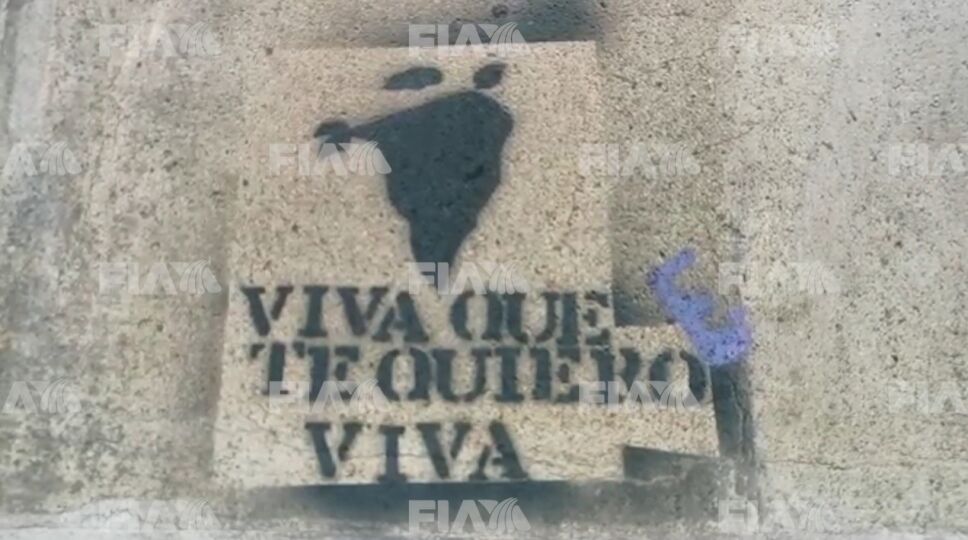 Pinta detalle.jpeg