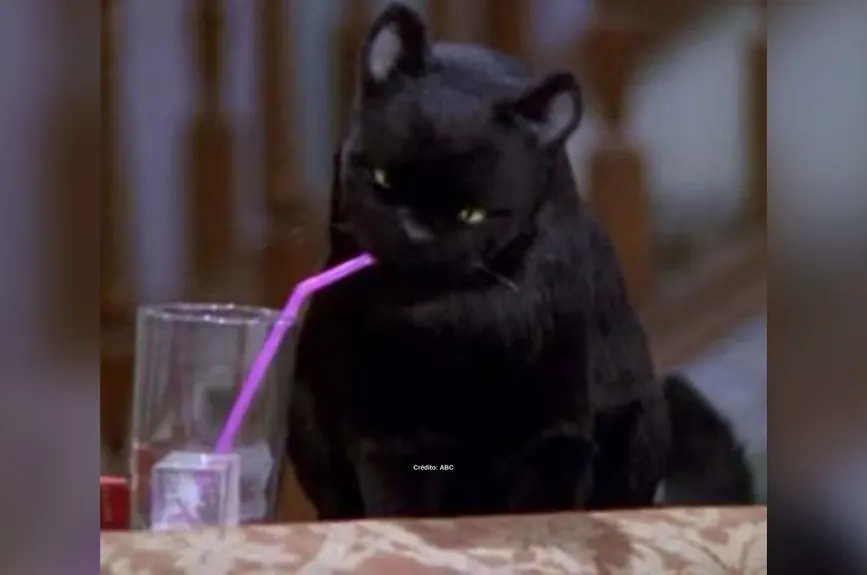 salem-saberhagen-sabrina-la-bruja-adolescente