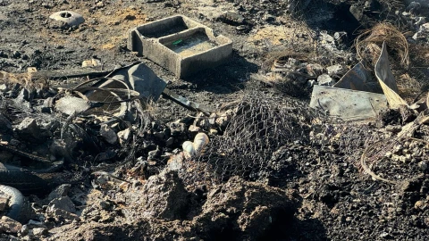 ANIMAMLES GRANJA CIUDAD JUAREZ.jpg