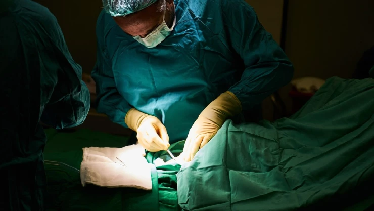 cuerpo show viuda.jpg