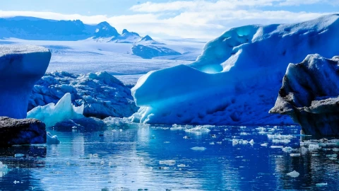 Mosquito de la Antártida qué es y cómo sobrevive al frío extremo.jpg