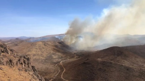Incendio forestal en Chihuahua