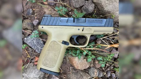 Detienen a hombre con arma en Mocorito 2