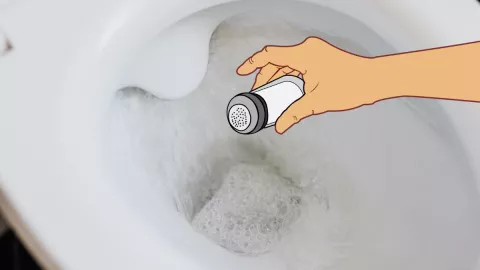 Por qué debes poner sal en el inodoro todas las noches.jpg