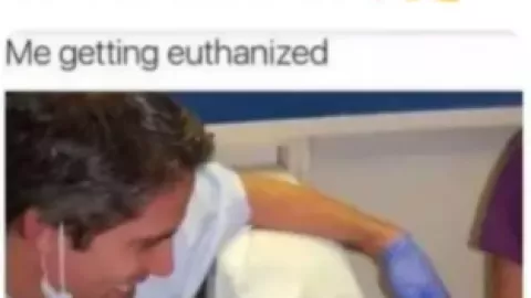 Tweet de Lauren Hoeve