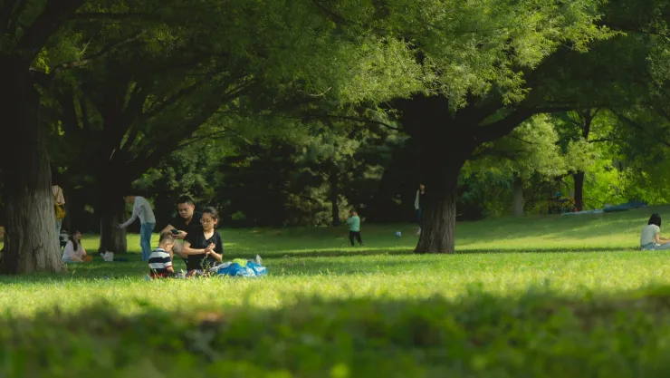 ¿Cómo llegar a La Pona en Aguascalientes Ubicación y actividades el parque recreativo