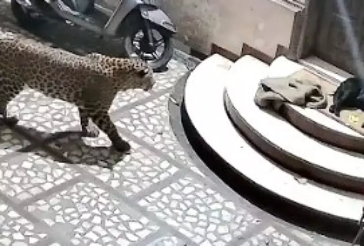 WhatsApp Image 2023-08-09 at 2.42.15 PM.jpeg