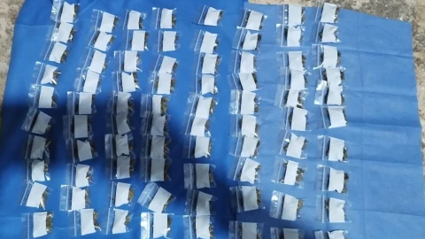 Aseguran droga en un fraccionamiento de Othón P. Blanco