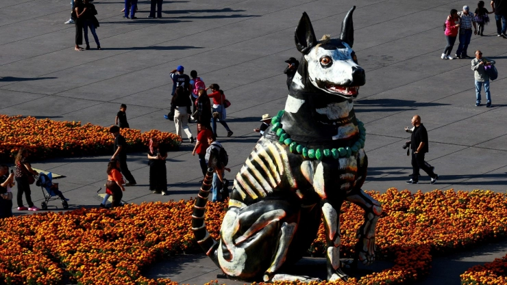 La leyenda del xoloitzcuintle en el Día de Muertos enaltece su valor y guía de las almas